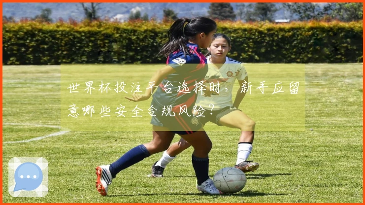 世界杯投注平台选择时，新手应留意哪些安全合规风险？