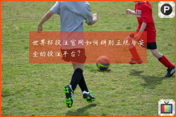 世界杯投注官网如何辨别正规与安全的投注平台？
