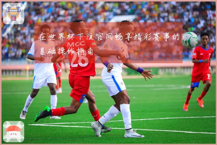 在世界杯下注官网畅享精彩赛事的基础操作指南