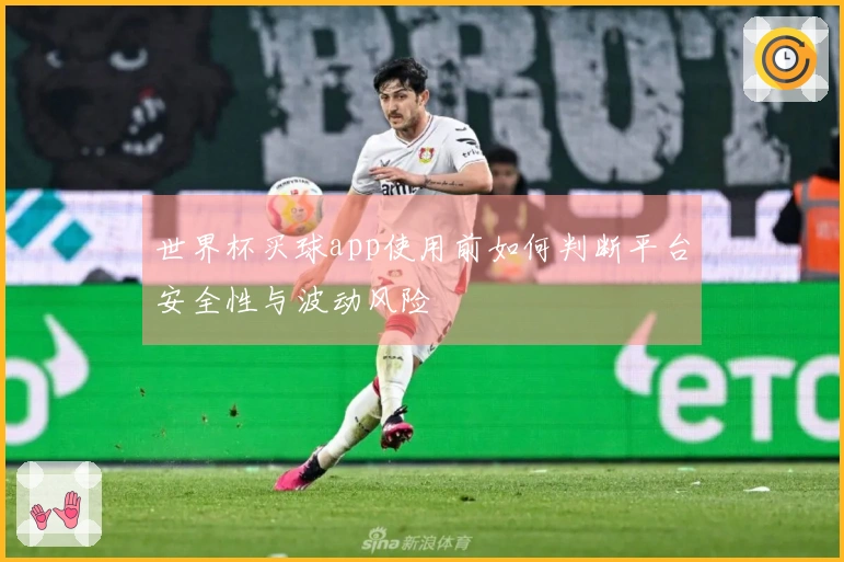 世界杯买球app使用前如何判断平台安全性与波动风险