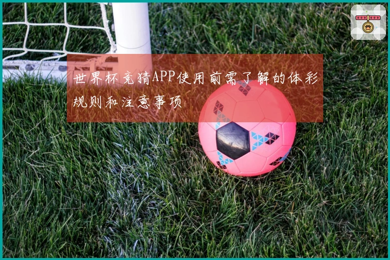 世界杯竞猜APP使用前需了解的体彩规则和注意事项