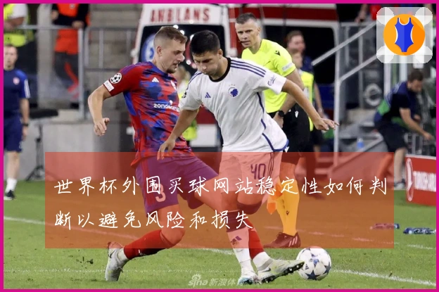 世界杯外围买球网站稳定性如何判断以避免风险和损失