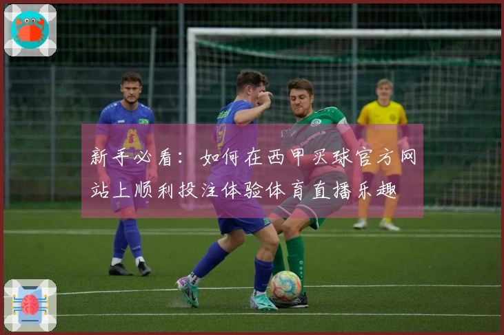 新手必看：如何在西甲买球官方网站上顺利投注体验体育直播乐趣