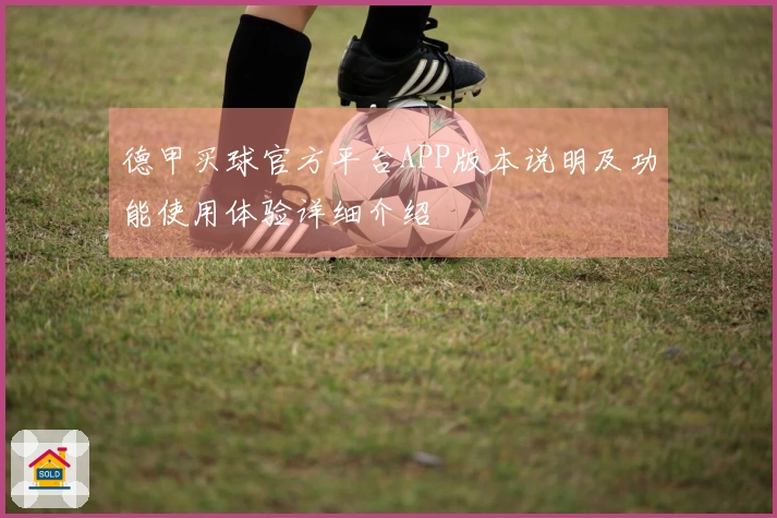 德甲买球官方平台APP版本说明及功能使用体验详细介绍
