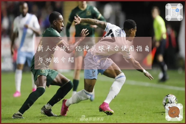 新人必读：亿德买球平台使用指南与功能介绍