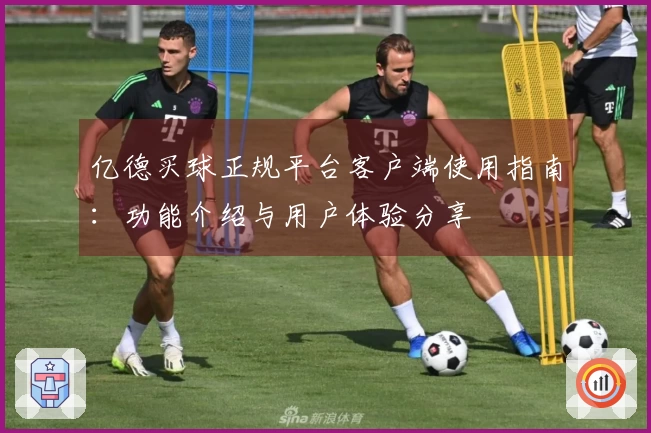 亿德买球正规平台客户端使用指南：功能介绍与用户体验分享