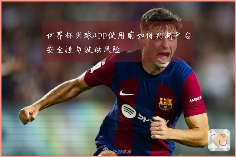 世界杯买球app使用前如何判断平台安全性与波动风险